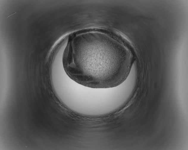 X0000085271310200703301846