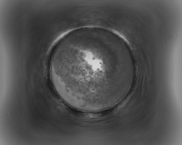 X0000085271311200703301846