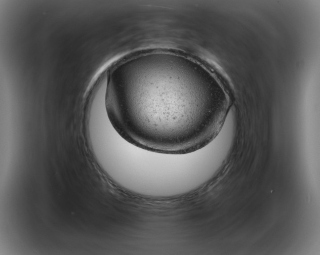 X0000085271312200703301846