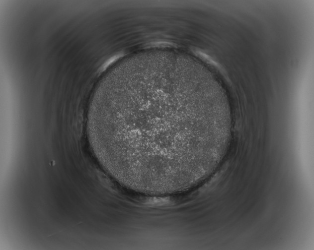 X0000085271313200703301846