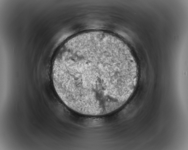 X0000085271314200703301846