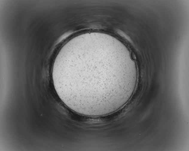 X0000085271315200703301846