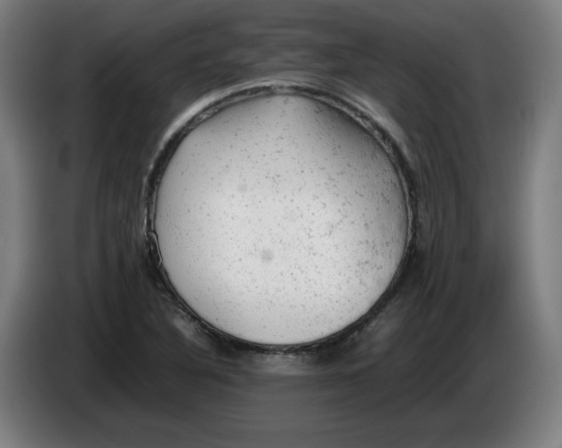 X0000085271316200703301846