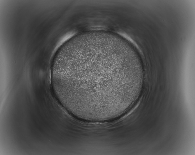 X0000085271317200703301846