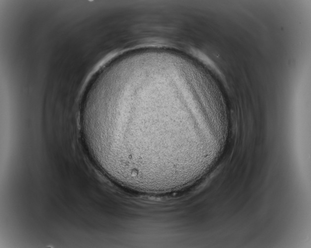 X0000085271318200703301846