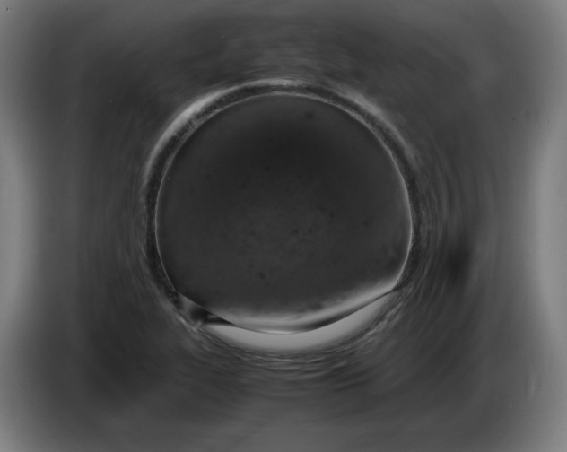 X0000085271319200703301846