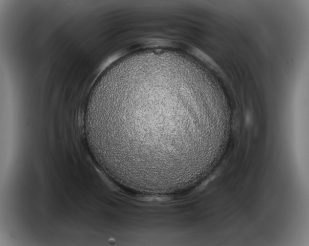 X0000085271321200703301846