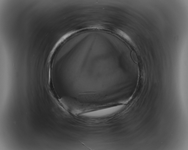 X0000085271323200703301846