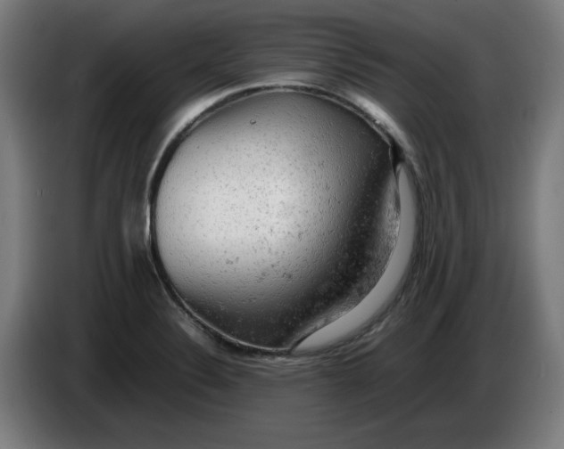 X0000085271324200703301846