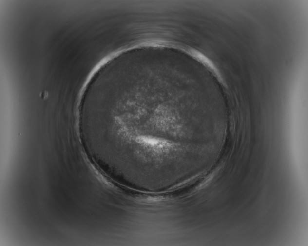 X0000085271326200703301846