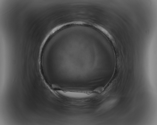 X0000085271327200703301846