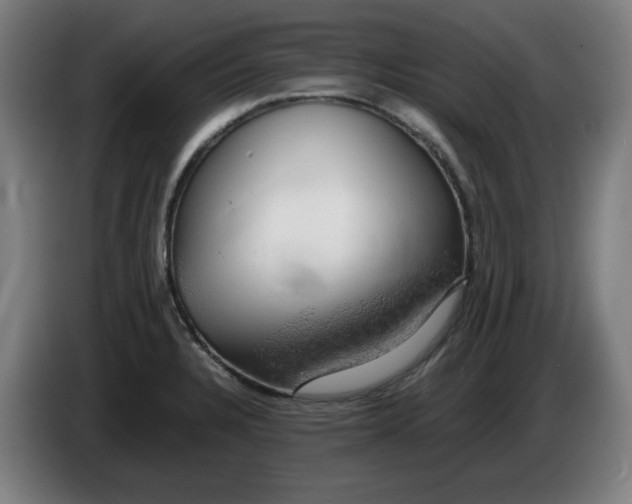 X0000085271328200703301846