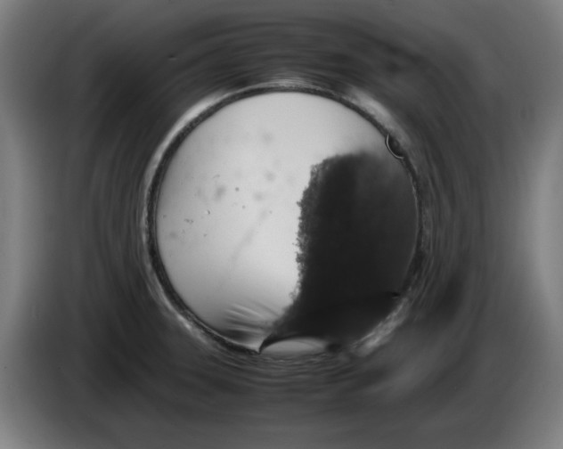 X0000085271331200703301846