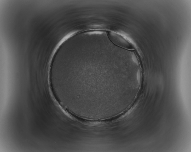 X0000085271333200703301846