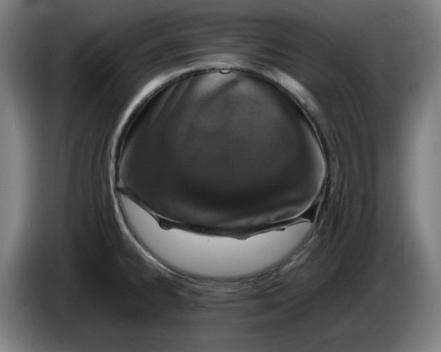 X0000085271334200703301846