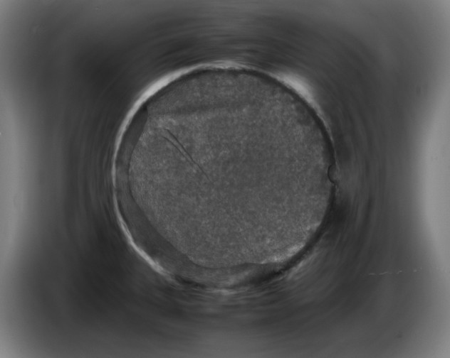 X0000085271335200703301846