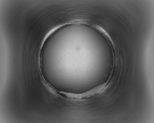 X0000085271336200703301846