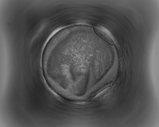 X0000085271339200703301846