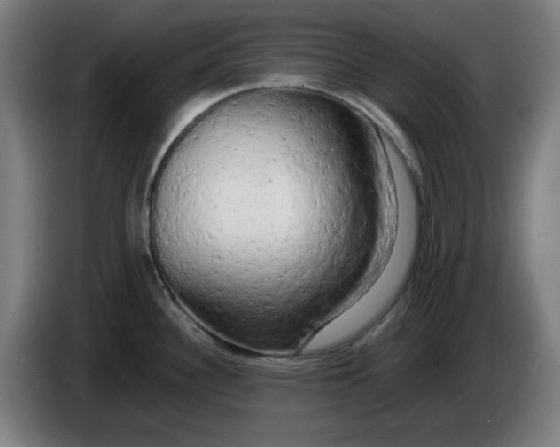 X0000085271340200703301846