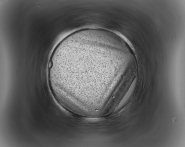 X0000085271343200703301846