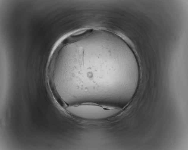 X0000085271344200703301846