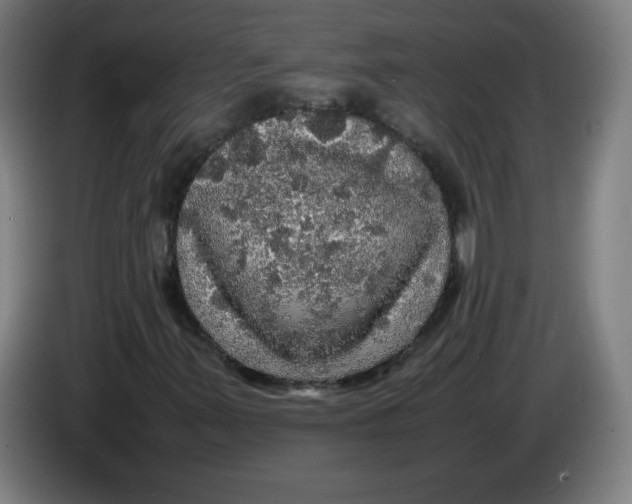 X0000085271347200703301845