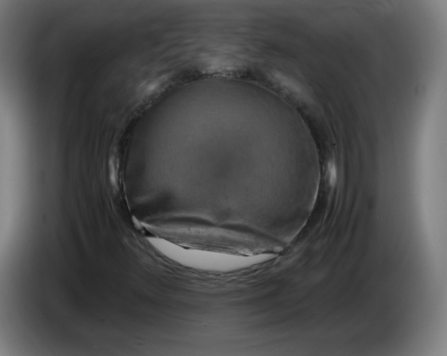 X0000085271348200703301845