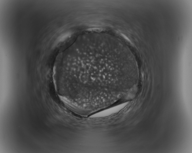 X0000085271351200703301845