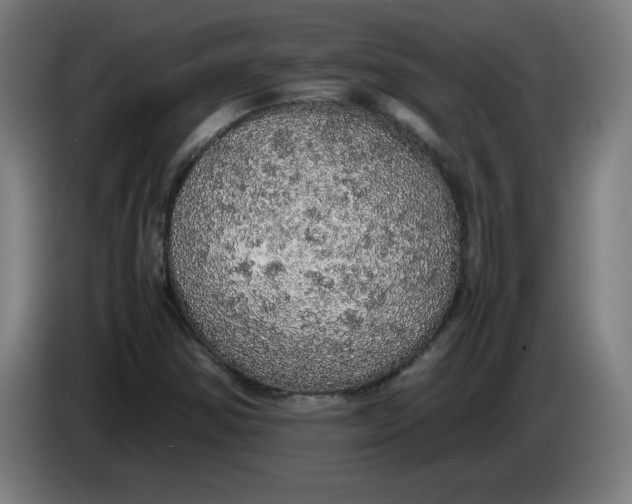 X0000085271354200703301845