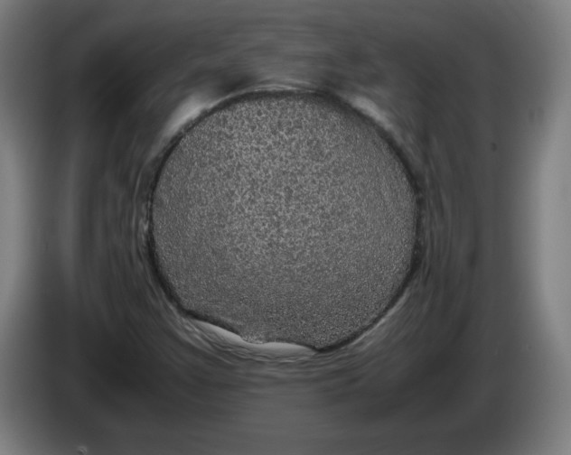 X0000085271355200703301845