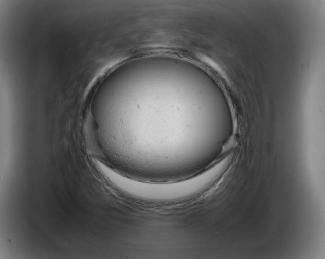 X0000085271357200703301845