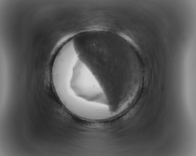 X0000085271358200703301845