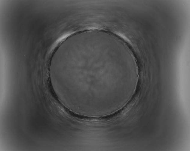 X0000085271359200703301845