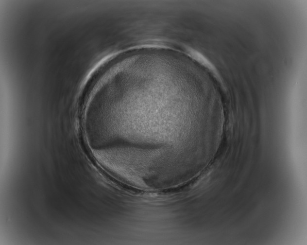 X0000085271360200703301845