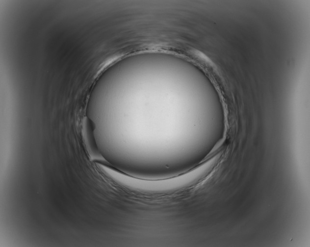 X0000085271361200703301845