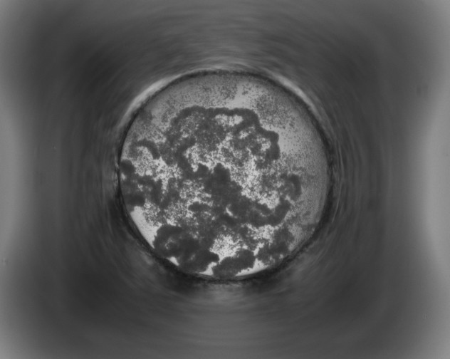 X0000085271363200703301845