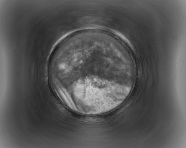 X0000085271364200703301845