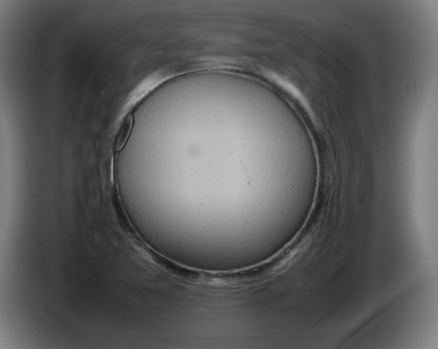 X0000085271365200703301845