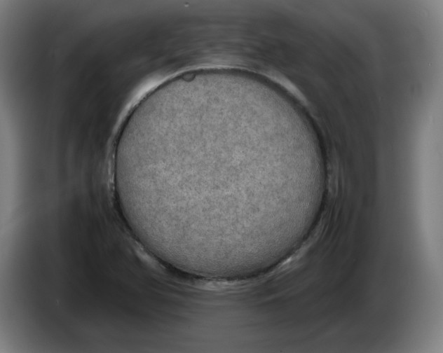 X0000085271366200703301845