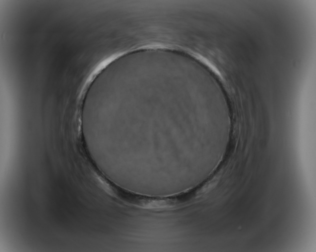 X0000085271367200703301845