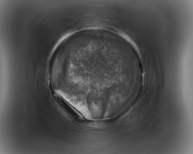 X0000085271368200703301845