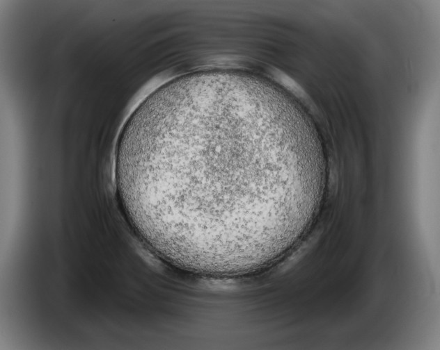 X0000085271370200703301845