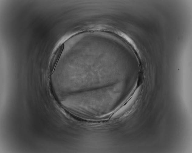 X0000085271373200703301845