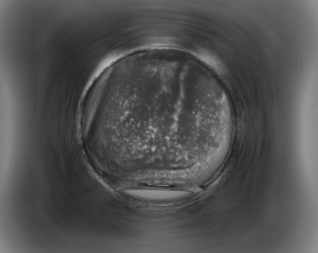 X0000085271374200703301845