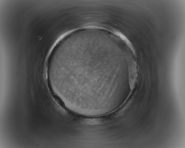 X0000085271376200703301845