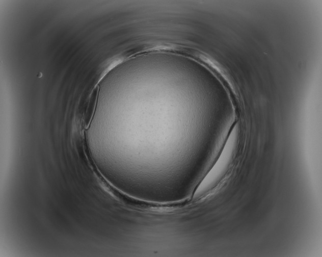 X0000085271377200703301845