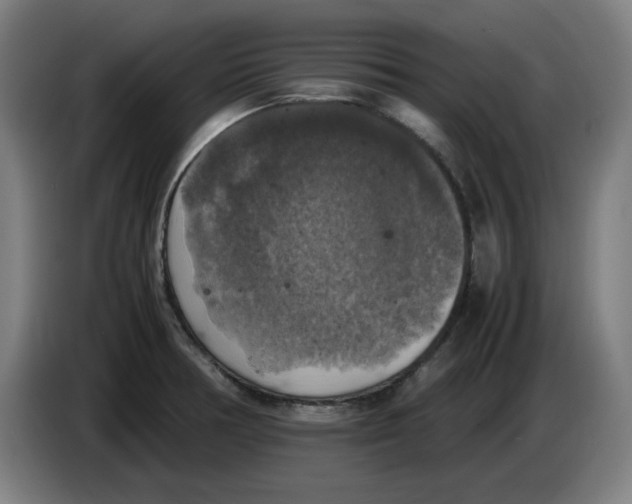 X0000085271378200703301845