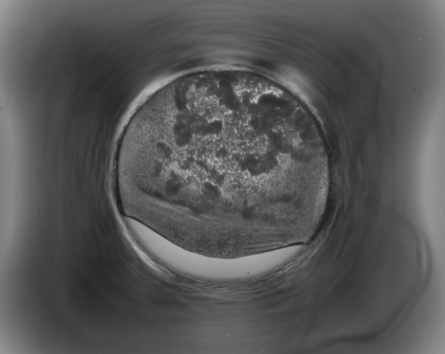 X0000085271379200703301845