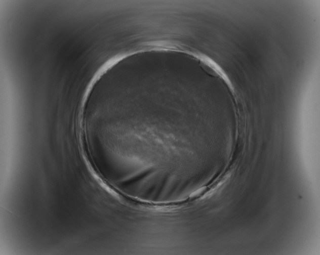 X0000085271381200703301845