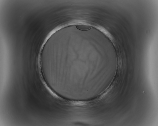 X0000085271382200703301845